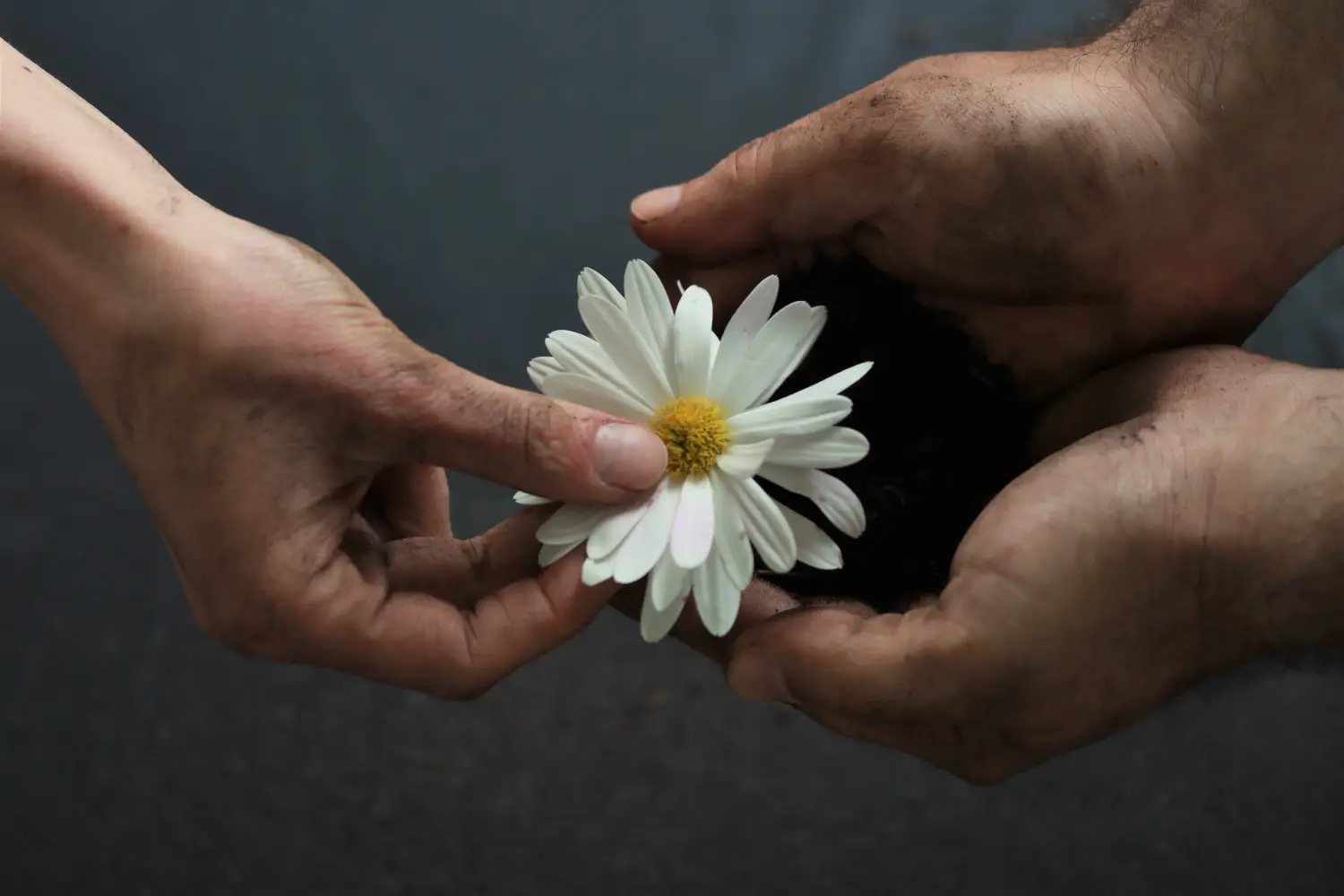 Handportraits von Samira Müller Fotografie