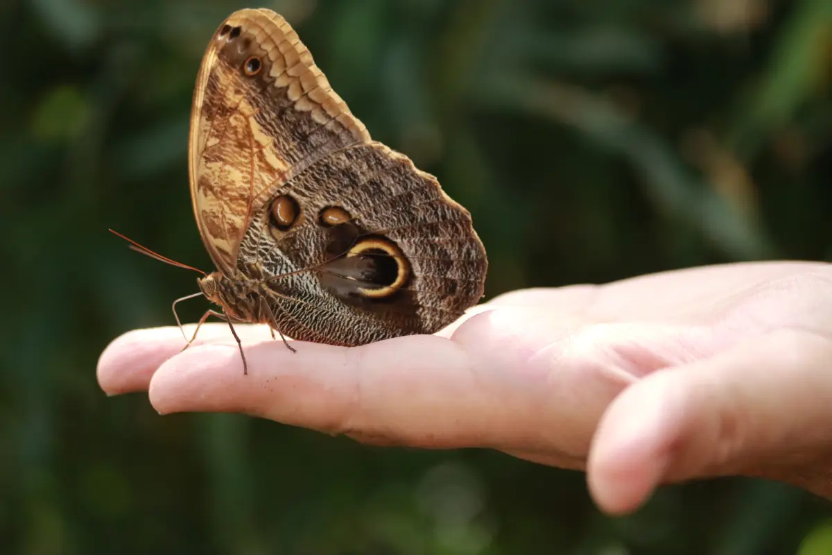 Tierfotografie von Samira Müller Fotografie
