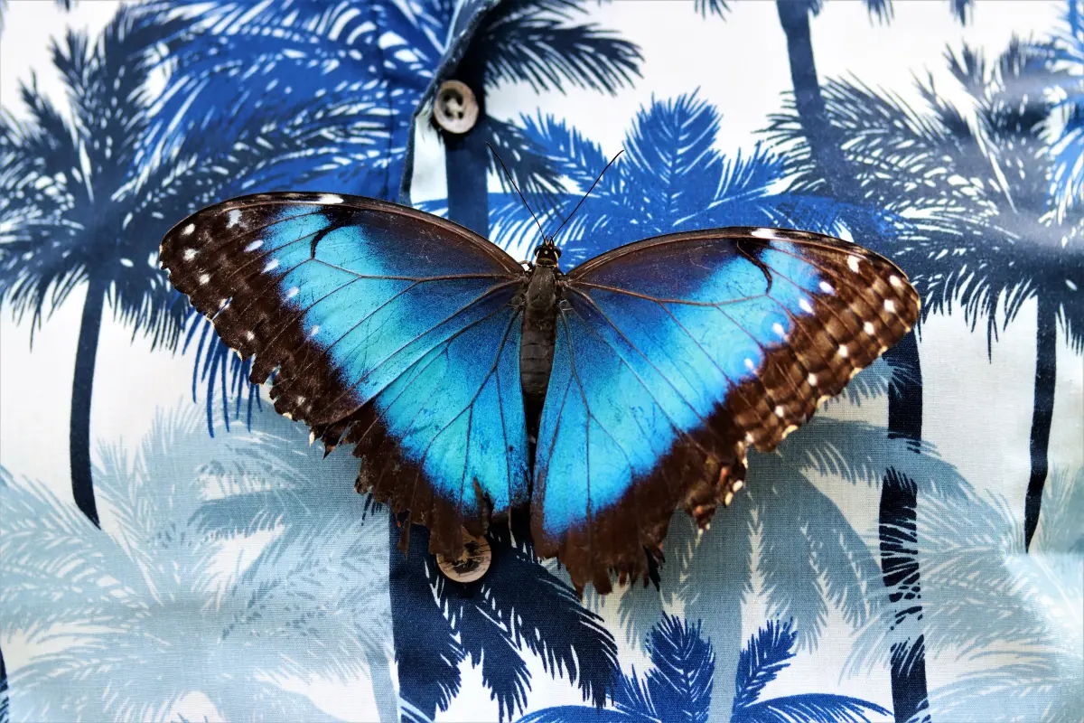 Tierfotografie von Samira Müller Fotografie