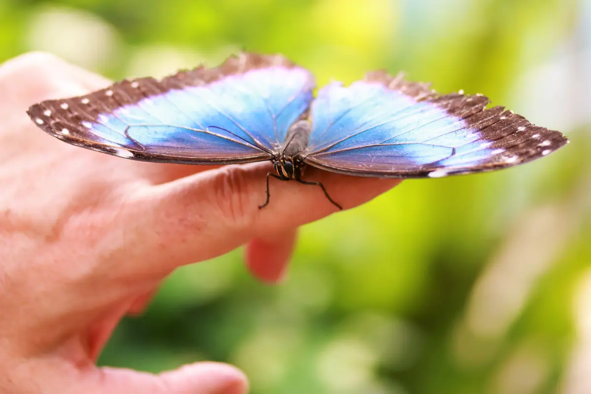 Tierfotografie von Samira Müller Fotografie