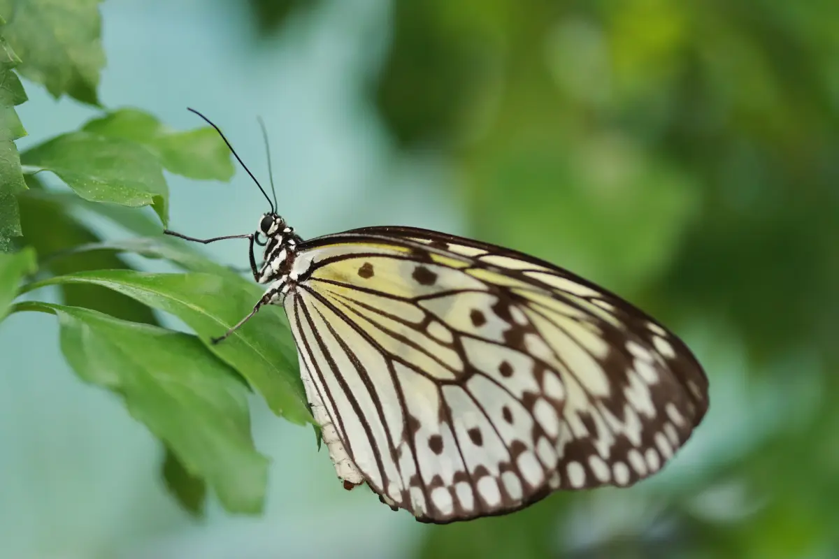 Tierfotografie von Samira Müller Fotografie