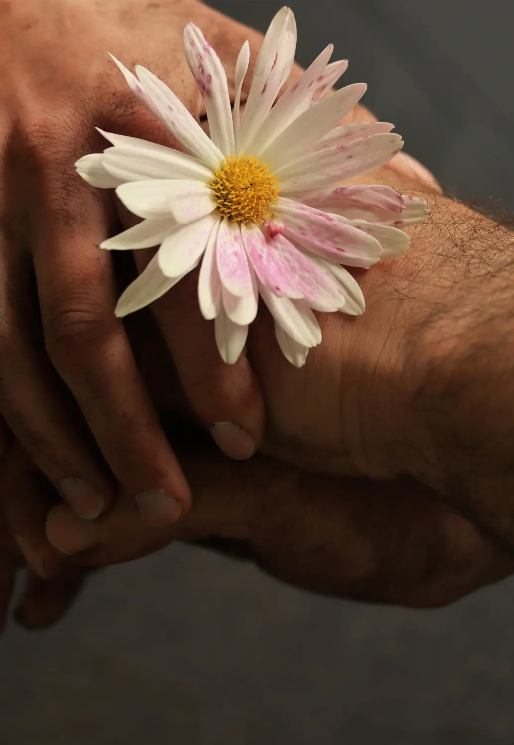 Händchen halten von Samira Müller Fotografie