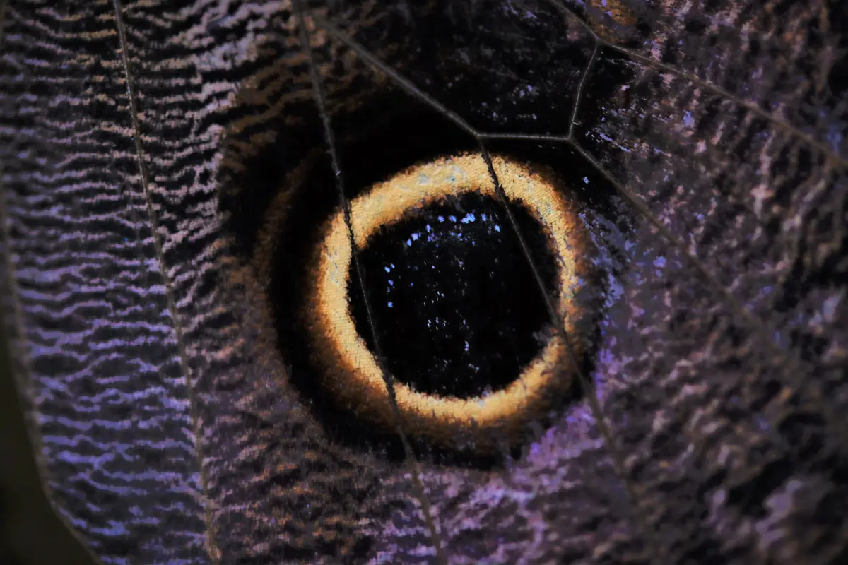 Tierfotografie von Samira Müller Fotografie